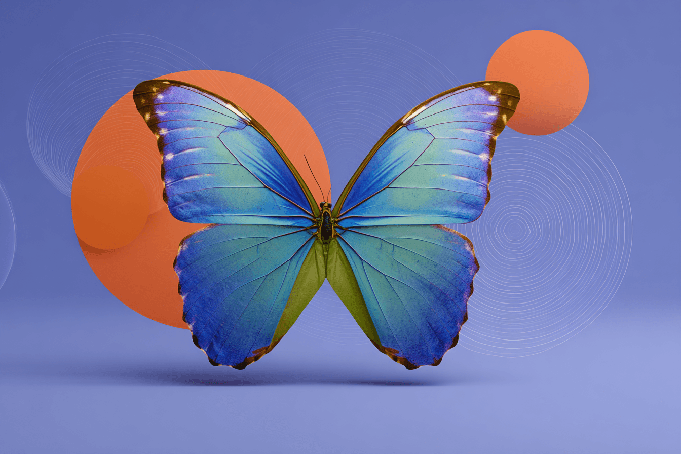 Rebranding & Transformation